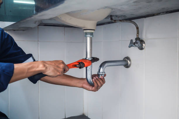 Best Sprinkler Systems  in Centreville, MD